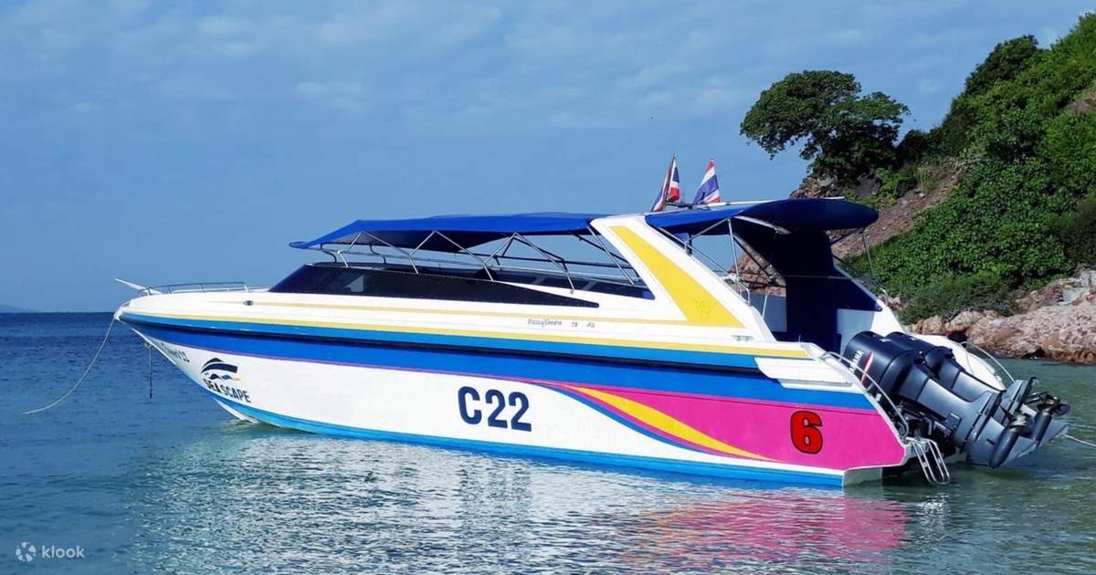 Pattaya Private Speedboat to coral island